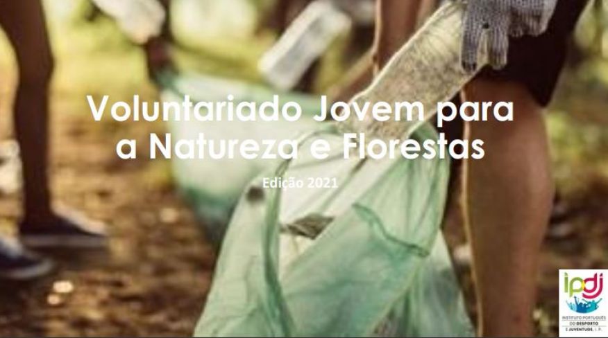 Programa Voluntariado Jovem para a Natureza e Florestas - Edi&ccedil;&atilde;o 2021